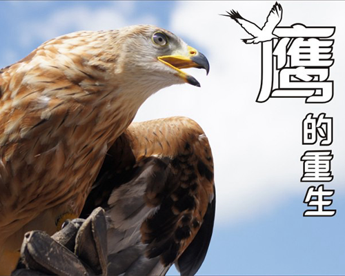 組織變革